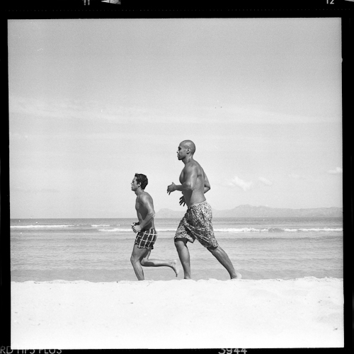 strandläufer (c) marc von martial